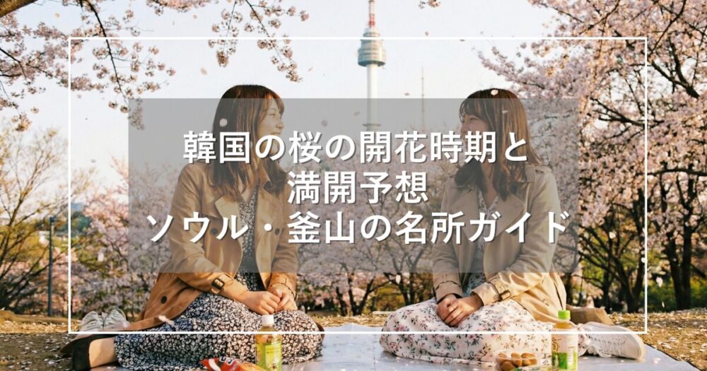2026年最新｜韓国の桜時期と満開予想！ソウル・釜山の名所ガイド